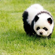 DogPanda