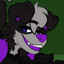 Denali Collie