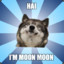 MoonMoon