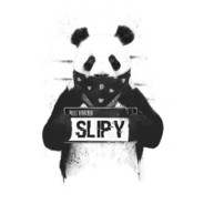 Slipy