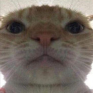 wąchaj moje pachy JamnikRP