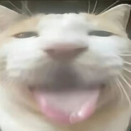 天才爱猫区发明家