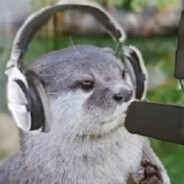 otter sitting at a computer