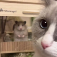 QQ农场说我菜死了