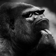 Gorilla