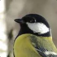 russia out of ukraine