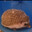 Chunky-Hedgehog