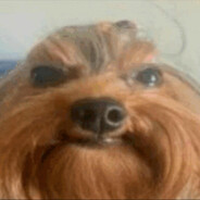 🌸 Prezes Kwiat 🌸