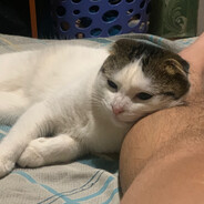 Чипс