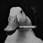 Duck.