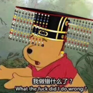 小学学历的维尼熊