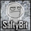 SaltyBit