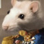 Rat