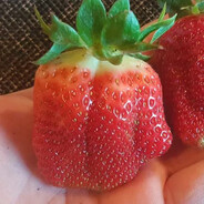 strawbenby