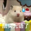 梅林法师