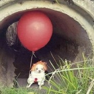 frozka - steam id 76561197968061268