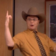 Gun Safety Dwight