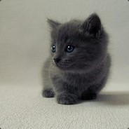 Big Avatar