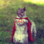 Super Squirrel