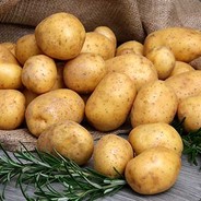 Potato