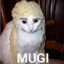 Mugi Cat