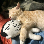 pika ;> avatar