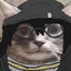 Brisbee