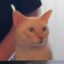 Markus_141