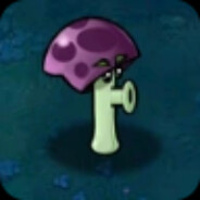 Scaredy-shroom