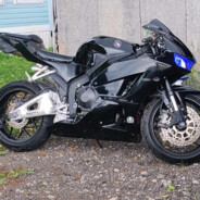 [DevilDog] Lt.ShitStain