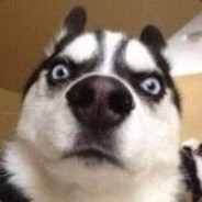 或许这就是男人吧