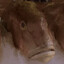 Gefiltefish