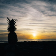 penaple - steam id 76561198442465753