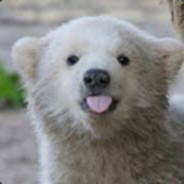 SavagePolarBear