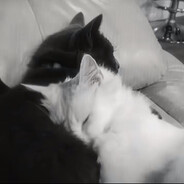 在谁的怀中会有感觉~