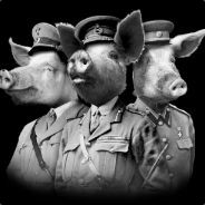 Confused WarPig - steam id 76561198049970580