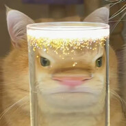 黑羽NeKo