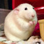 Rato Gordo