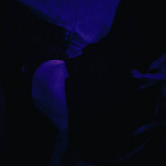 𝕊𝟙𝕝𝕖𝕟𝕥