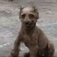 这一口会很疯狂