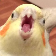 Screaming Mango