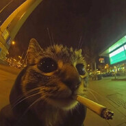 kushy