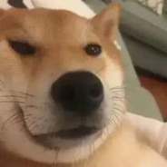 Да здравствует ко