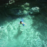 请期待ARTIST的信息：）