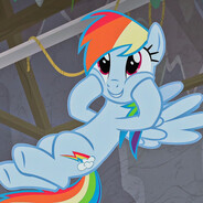 🌈RainbowDash