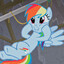 🌈RainbowDash