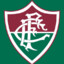 FLUMINENSE