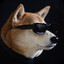 DOGSTAR47
