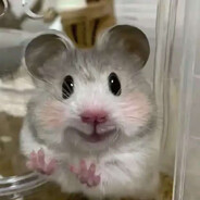 电脑玩家-炸弹客