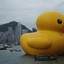 Big_DuCk